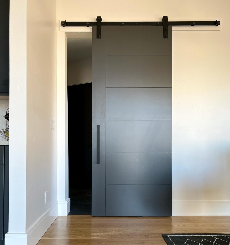 F601 Residential Flush Barn Door